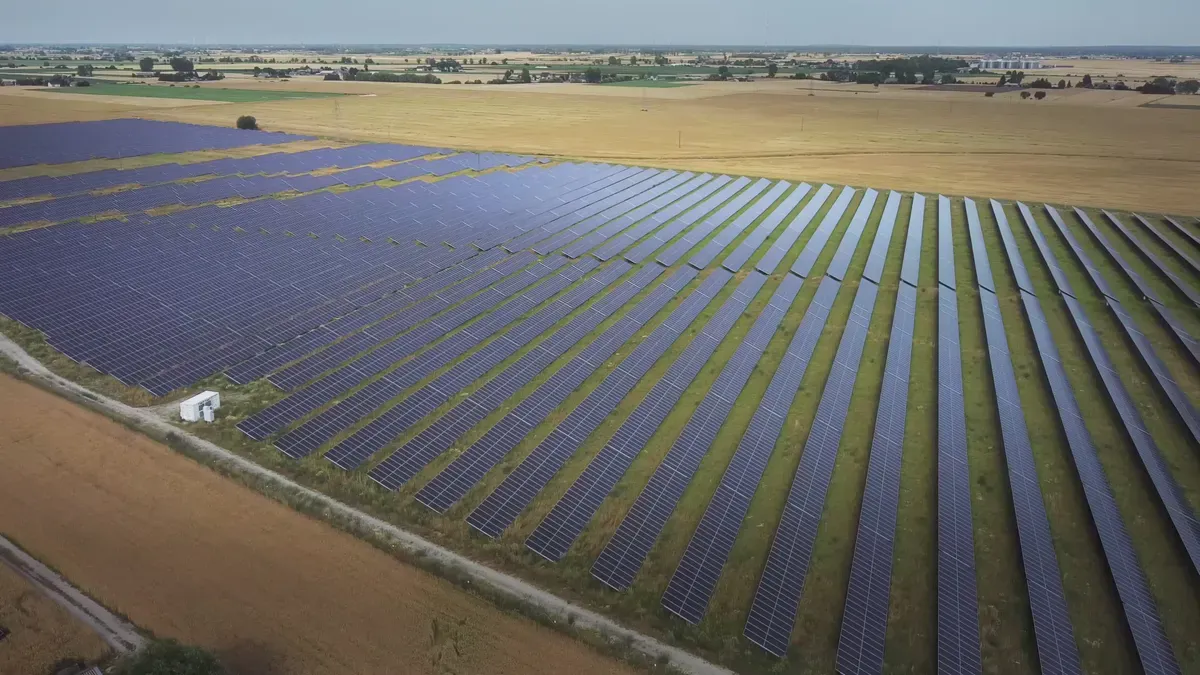 PNG Solar vs JinkoSolar vs LONGi: Confronto tra fornitori di pannelli solari